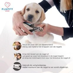 FluffyCare - Professionele Nagelschaar- Nagelschaar Hond - Nagelschaar Kat - Nagelknipper Hond En Kat - Nagelknipper Kat - Nagelknipper Hond - NagelTang Dieren - Poot Verzorging 12 FluffyCare - Professionele Nagelschaar- Nagelschaar Hond - Nagelschaar Kat - Nagelknipper Hond En Kat - Nagelknipper Kat - Nagelknipper Hond - NagelTang Dieren - Poot Verzorging -Dieren Product Winkel 1200x1200 1348