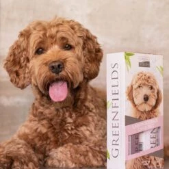 Greenfields Labradoodle Vacht Verzorgingsset - Shampoo En Anti-Klit Spray Voor Langharige Of Krullende Vacht 15 Greenfields Labradoodle Vacht Verzorgingsset - Shampoo En Anti-Klit Spray Voor Langharige Of Krullende Vacht -Dieren Product Winkel 1200x1200 1367