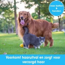 Professionele Ondervacht Kam Voor Hond En Kat S – Hondenborstel – Kattenborstel - Hondenkam –Anti Klit - Haarverwijderaar Voor Huisdieren - Pijnloos - Huisdiervriendelijk – Klittenkam - Voorkomt Haaruitval - Kleine Variant- Black Friday - Sinterklaas 7 Professionele Ondervacht Kam Voor Hond En Kat S – Hondenborstel – Kattenborstel - Hondenkam –Anti Klit - Haarverwijderaar Voor Huisdieren - Pijnloos - Huisdiervriendelijk – Klittenkam - Voorkomt Haaruitval - Kleine Variant- Black Friday - Sinterklaas -Dieren Product Winkel 1200x1200 1385
