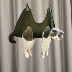 Katten, Honden XS Hangzak Voor Het Makkelijk Knippen Van Nagels, Groen, Green, Maat Extra Small, Waszak, Nagelknippen, Huisdierverzorging | Cat Hangbag | Pet Hangmat | Cat Hammock -Dieren Product Winkel 1200x1200 1440