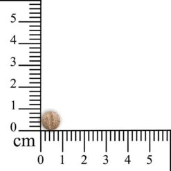 Sensipharm Omniderma Voor Kat, Hondje, Cavia, Konijn - Voedingssupplement Voor Huid En Vacht, Bij Jeuk, Eczeem & Hotspot - 90 Tabletten à 250 Mg -Dieren Product Winkel 1200x1200 15