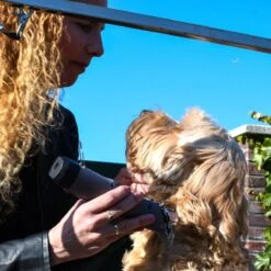 Clipr Ultimate 2-speed Hondentondeuse Op Accu -Dieren Product Winkel 1200x1200 1511