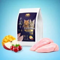 Avalon Petfood + Verse Kip Super Premium - Kattenvoer - 5Kg -Dieren Product Winkel 1200x1200 154