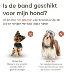 Premium Anti Blafband Apparaat Om Je Hond Snel En Effectief Te Laten Stoppen Met Blaffen - Diervriendelijke Opvoedingshalsband Zonder Schok - Trainingshalsband Voor Grote En Kleine Honden - Anti Blaf Apparaat - Correctie Halsband -Dieren Product Winkel 1200x1200 1548