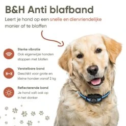 Premium Anti Blafband Apparaat Om Je Hond Snel En Effectief Te Laten Stoppen Met Blaffen - Diervriendelijke Opvoedingshalsband Zonder Schok - Trainingshalsband Voor Grote En Kleine Honden - Anti Blaf Apparaat - Correctie Halsband -Dieren Product Winkel 1200x1200 1550