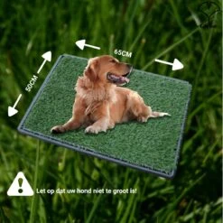 Merkloos Gtrise Hondentoilet Met 2 Matten - Out/Indoor - Zindelijkheidstraining Ebook - Dieren Wc -Dieren Product Winkel 1200x1200 1589