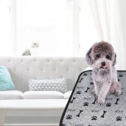 Jooba Puppy Training Pads - Wasbare Puppy Pads 2 Stuks - Hondentoilet - 70x50cm - Puppy -Dieren Product Winkel 1200x1200 1594