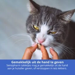 Sensipharm Omniderma Voor Kat, Hondje, Cavia, Konijn - Voedingssupplement Voor Huid En Vacht, Bij Jeuk, Eczeem & Hotspot - 90 Tabletten à 250 Mg -Dieren Product Winkel 1200x1200 16