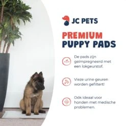 JC Pets Premium Puppy Training Pads - Hondentoilet - Zindelijkheidstraining Hond - 100 Stuks - 60 X 45 Cm 13 JC Pets Premium Puppy Training Pads - Hondentoilet - Zindelijkheidstraining Hond - 100 Stuks - 60 X 45 Cm -Dieren Product Winkel 1200x1200 1608