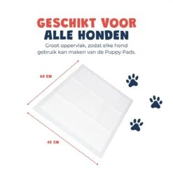 JC Pets Premium Puppy Training Pads - Hondentoilet - Zindelijkheidstraining Hond - 100 Stuks - 60 X 45 Cm 15 JC Pets Premium Puppy Training Pads - Hondentoilet - Zindelijkheidstraining Hond - 100 Stuks - 60 X 45 Cm -Dieren Product Winkel 1200x1200 1610
