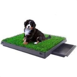 Merkloos Hondentoilet Kunstgras Met Bak - Indoor Dierentoilet - Uitneembare Opvangbak - Puppy Training Pets - Outdoor/Balkon/Tuin/Indoor Toilet - 50x64 Cm -Dieren Product Winkel 1200x1200 1623