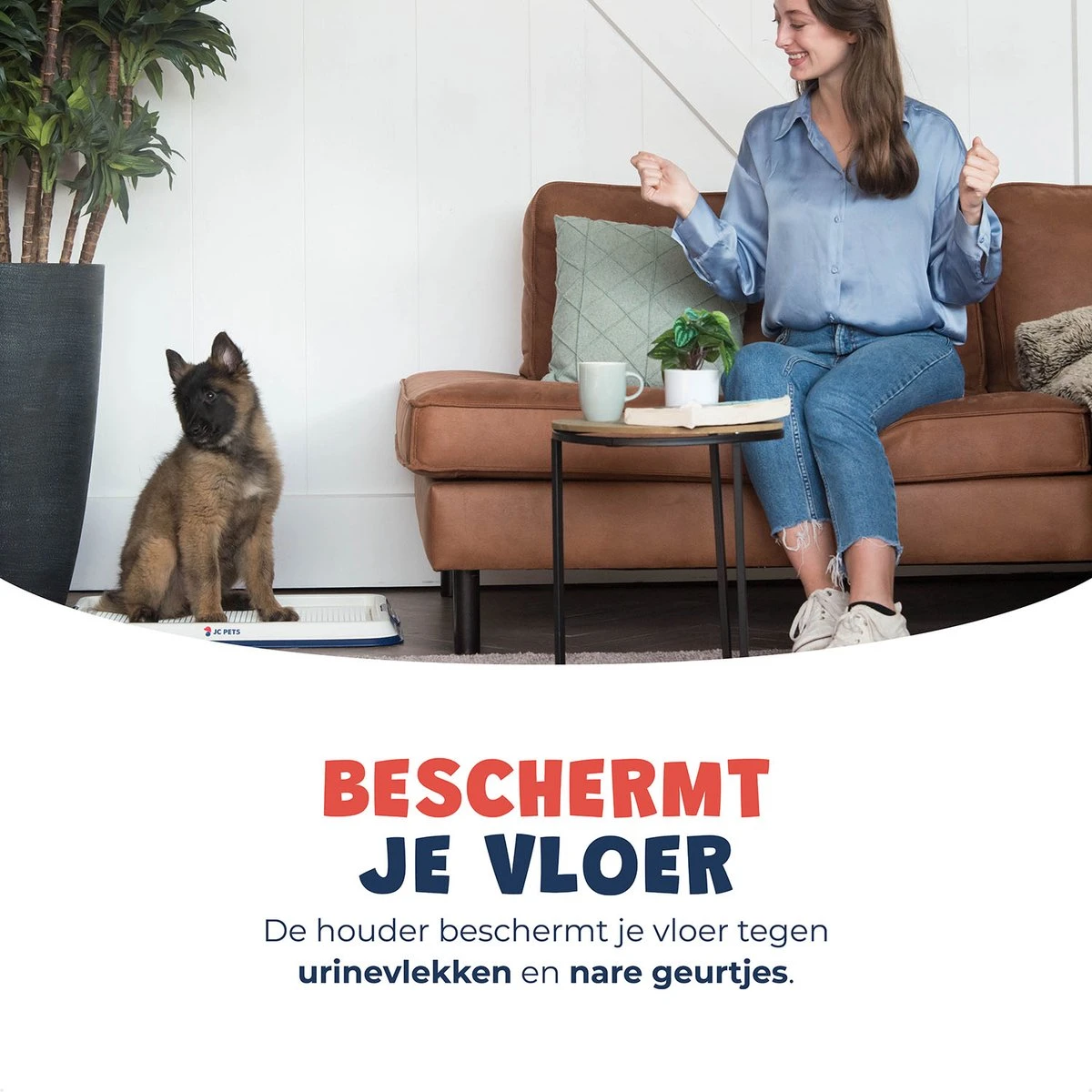 JC Pets Premium Pad Houder Met Rooster - Inclusief 20 Puppy Training Pads - Hondentoilet - Zindelijkheidstraining Hond 3 JC Pets Premium Pad Houder Met Rooster - Inclusief 20 Puppy Training Pads - Hondentoilet - Zindelijkheidstraining Hond - Afbeelding 3