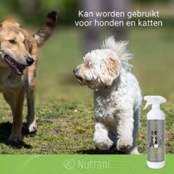 Nutrani Geurverwijderaar, 750 Ml, Natuurlijke Enzymreiniger Als Gebruiksklare Spray Met Biologische Werking, Verwijdert Geurtjes, Urine, Poep En Vlekken Van Honden En Katten 8 Nutrani Geurverwijderaar, 750 Ml, Natuurlijke Enzymreiniger Als Gebruiksklare Spray Met Biologische Werking, Verwijdert Geurtjes, Urine, Poep En Vlekken Van Honden En Katten -Dieren Product Winkel 1200x1200 1641