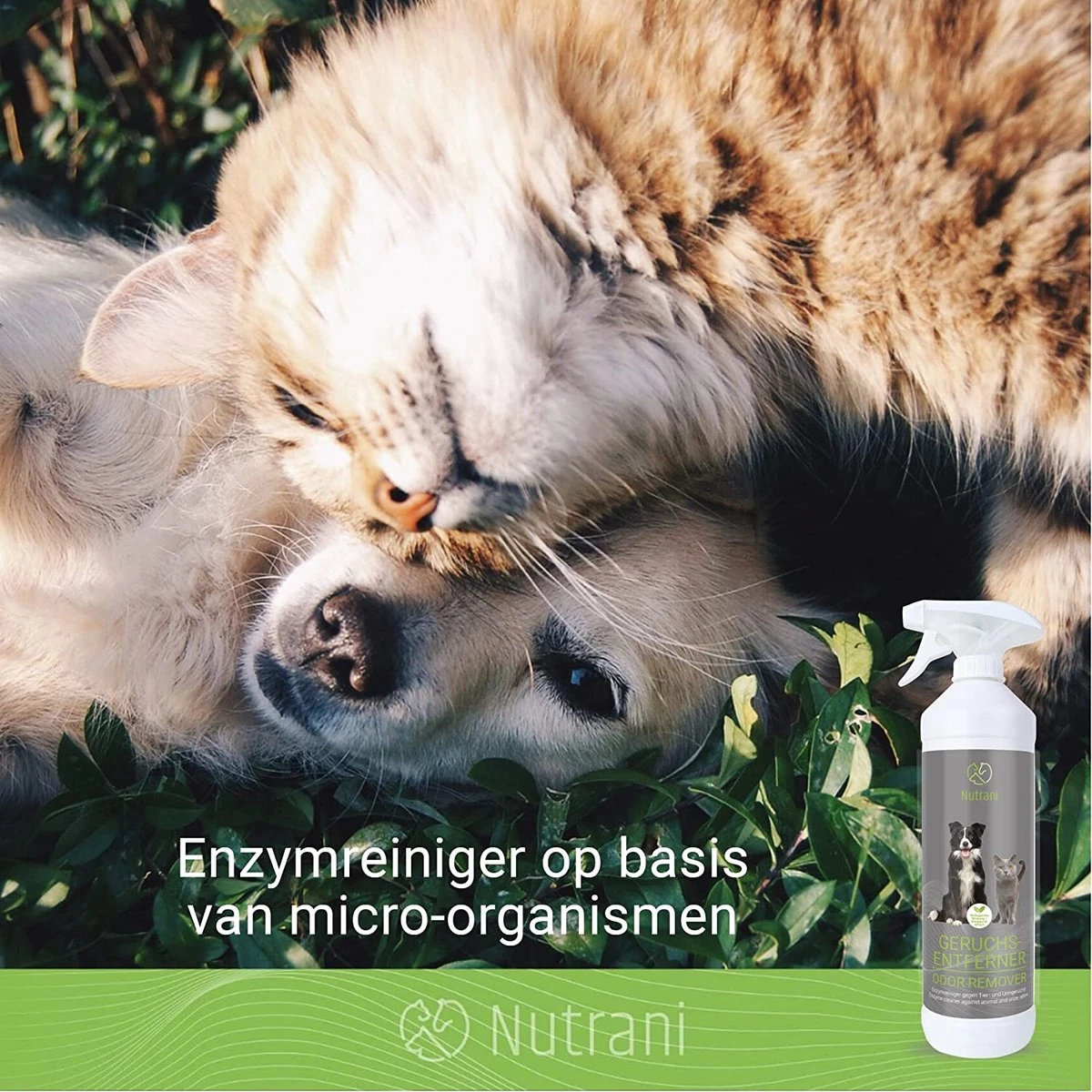 Nutrani Geurverwijderaar, 750 Ml, Natuurlijke Enzymreiniger Als Gebruiksklare Spray Met Biologische Werking, Verwijdert Geurtjes, Urine, Poep En Vlekken Van Honden En Katten 4 Nutrani Geurverwijderaar, 750 Ml, Natuurlijke Enzymreiniger Als Gebruiksklare Spray Met Biologische Werking, Verwijdert Geurtjes, Urine, Poep En Vlekken Van Honden En Katten - Afbeelding 4