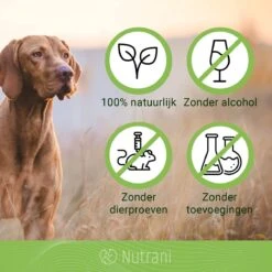 Nutrani Geurverwijderaar, 750 Ml, Natuurlijke Enzymreiniger Als Gebruiksklare Spray Met Biologische Werking, Verwijdert Geurtjes, Urine, Poep En Vlekken Van Honden En Katten 10 Nutrani Geurverwijderaar, 750 Ml, Natuurlijke Enzymreiniger Als Gebruiksklare Spray Met Biologische Werking, Verwijdert Geurtjes, Urine, Poep En Vlekken Van Honden En Katten -Dieren Product Winkel 1200x1200 1643