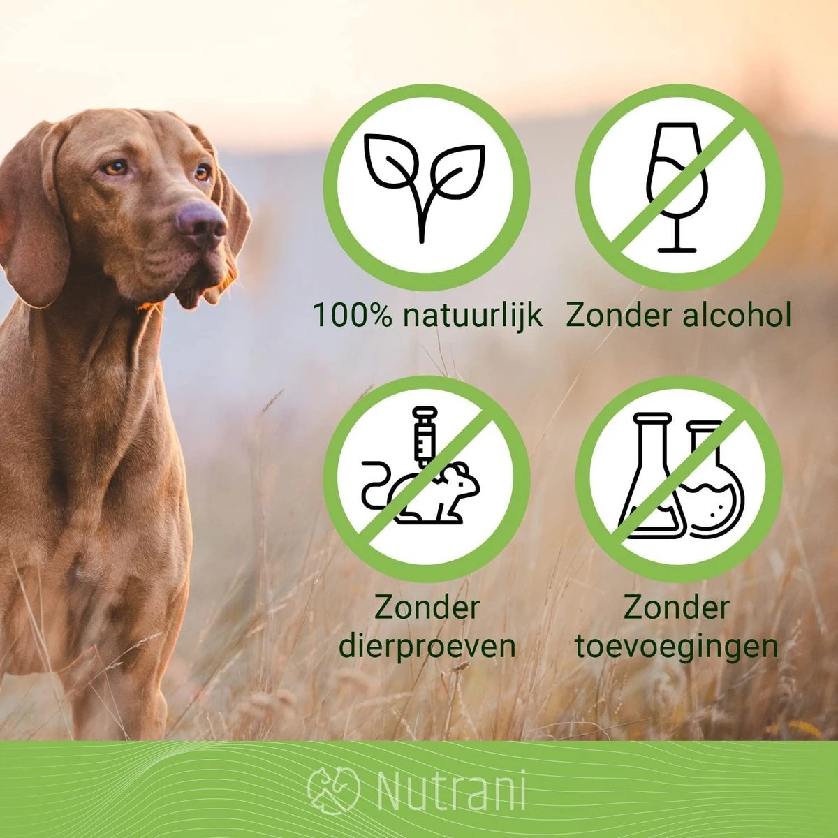 Nutrani Geurverwijderaar, 750 Ml, Natuurlijke Enzymreiniger Als Gebruiksklare Spray Met Biologische Werking, Verwijdert Geurtjes, Urine, Poep En Vlekken Van Honden En Katten 5 Nutrani Geurverwijderaar, 750 Ml, Natuurlijke Enzymreiniger Als Gebruiksklare Spray Met Biologische Werking, Verwijdert Geurtjes, Urine, Poep En Vlekken Van Honden En Katten - Afbeelding 5