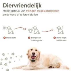 Premium Anti Blafband - Diervriendelijke Opvoedingshalsband Zonder Schok - Trainingshalsband Voor Grote En Kleine Honden - Anti Blaf Band - Correctie Halsband -Dieren Product Winkel 1200x1200 1663