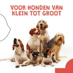 JC Pets Ultrasone Anti Blaf Apparaat Voor Kleine En Grote Honden - Oplaadbaar - Alternatief Anti Blafband Voor Honden - Diervriendelijk & Zonder Schok -Dieren Product Winkel 1200x1200 1676