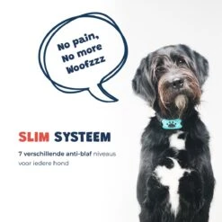 Anti Blafband - Blafband Voor Honden - Anti Blaf Apparaat - Blafband - Diervriendelijk & Zonder Schok -Dieren Product Winkel 1200x1200 1683