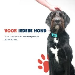 Anti Blafband - Blafband Voor Honden - Anti Blaf Apparaat - Blafband - Diervriendelijk & Zonder Schok -Dieren Product Winkel 1200x1200 1684