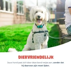 Anti Blafband - Blafband Voor Honden - Anti Blaf Apparaat - Blafband - Diervriendelijk & Zonder Schok -Dieren Product Winkel 1200x1200 1685