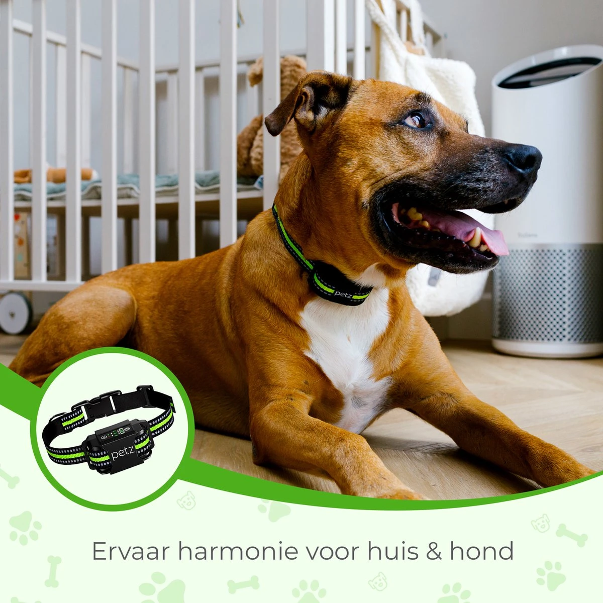 Petz - Anti Blafband - Anti Blafband Voor Kleine En Grote Honden - 5-55 KG - Vibratie En Audio - Diervriendelijk - GEEN Schokken - Opvoedingshalsband Zonder Schok En Diervriendelijk - Waterdicht - Oplaadbaar 4 Petz - Anti Blafband - Anti Blafband Voor Kleine En Grote Honden - 5-55 KG - Vibratie En Audio - Diervriendelijk - GEEN Schokken - Opvoedingshalsband Zonder Schok En Diervriendelijk - Waterdicht - Oplaadbaar - Afbeelding 4