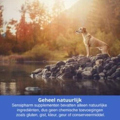 Sensipharm Bitterspray Anti Bijt Spray - Hond, Kat, Konijn & Vogel - Bitter Anti Kauw Knabbel Knaag - 100 Ml -Dieren Product Winkel 1200x1200 1699