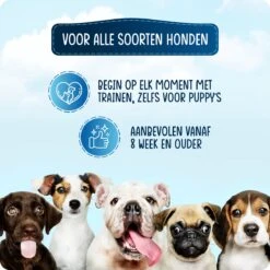 VEDIC® - Luxe Clicker Met Fluit - Clickertraining Voor Honden - Zwart - Bevestigingsring - Fluit - Hondentraining -Dieren Product Winkel 1200x1200 1738