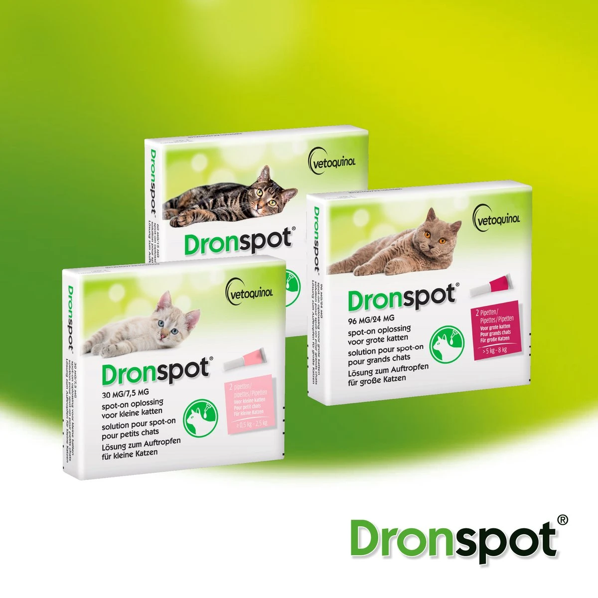 Dronspot Spot On Ontwormingsmiddel Voor Middelgrote Katten (2,5 Kg - 5 Kg) 2 Pipetten 2 Dronspot Spot On Ontwormingsmiddel Voor Middelgrote Katten (2,5 Kg - 5 Kg) 2 Pipetten - Afbeelding 2
