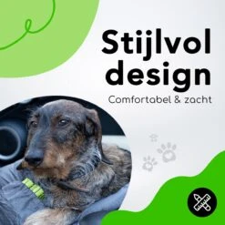 Doxie® Autostoel Hond – Hondenmand – 2 In 1 – 60 X 50 Cm – Wasbaar – Antislip – Waterbestendig – Incl. Autogordel – Maat M – Donkergrijs -Dieren Product Winkel 1200x1200 1804