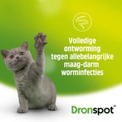 Dronspot Spot On Ontwormingsmiddel Voor Middelgrote Katten (2,5 Kg - 5 Kg) 2 Pipetten 9 Dronspot Spot On Ontwormingsmiddel Voor Middelgrote Katten (2,5 Kg - 5 Kg) 2 Pipetten -Dieren Product Winkel 1200x1200 181
