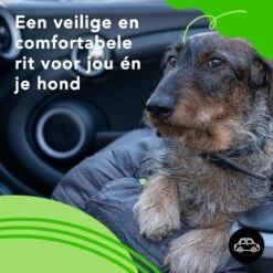 Doxie® Autostoel Hond – Hondenmand – 2 In 1 – 60 X 50 Cm – Wasbaar – Antislip – Waterbestendig – Incl. Autogordel – Maat M – Donkergrijs -Dieren Product Winkel 1200x1200 1810