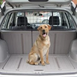Zenzee - Hondenrek Auto - Hondenrek - Autorek Hond - Bagagerek - Verstelbaar- B91-145cm/H30 Cm- Zwart -Dieren Product Winkel 1200x1200 1840