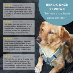 Hondendeken Auto Achterbank En Kofferbak - Autodeken Hond - Beschermhoes - Hondenkleed - 135x145 Cm 19 Hondendeken Auto Achterbank En Kofferbak - Autodeken Hond - Beschermhoes - Hondenkleed - 135x145 Cm -Dieren Product Winkel 1200x1200 1913