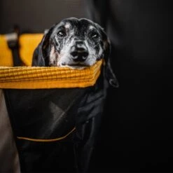 Kurgo - Skybox Booster Seat - Black/Orange - Hondenstoeltje - Hoogzitter Om Naar Buiten Te Kijken -Dieren Product Winkel 1200x1200 1969