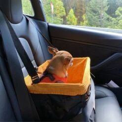Kurgo - Skybox Booster Seat - Black/Orange - Hondenstoeltje - Hoogzitter Om Naar Buiten Te Kijken -Dieren Product Winkel 1200x1200 1976