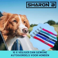 Autogordel Voor Honden - Rood - Voor Optimale Veiligheid Onderweg Voor Hond En Baasje - Schok Absorberend - Hondengordel - Voor Alle Honden - Bestand Tegen Grote Krachten - Geschikt Voor Bijna Alle Auto's -Dieren Product Winkel 1200x1200 1978