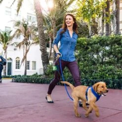 700 Zwarte Eco Friendly Hondenpoepzakken Met GRATIS Dispenser - 20 Rollen X 35 Stuks - Poepzakjes Hond 22 700 Zwarte Eco Friendly Hondenpoepzakken Met GRATIS Dispenser - 20 Rollen X 35 Stuks - Poepzakjes Hond -Dieren Product Winkel 1200x1200 2015