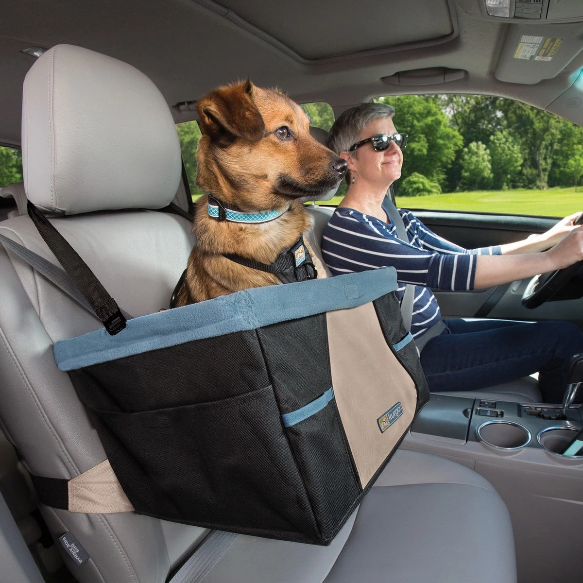 Kurgo Rover Booster Seat - Verhoogde Autostoel Met Eenvoudige Bevestiging Voor Kleine Honden Tot 13kg - Zwart/Blauw 30x40x20cm 9 Kurgo Rover Booster Seat - Verhoogde Autostoel Met Eenvoudige Bevestiging Voor Kleine Honden Tot 13kg - Zwart/Blauw 30x40x20cm - Afbeelding 9