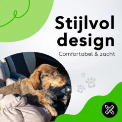 Doxie® Autostoel Hond – Hondenmand – 2 In 1 – 50 X 40 Cm – Wasbaar – Antislip – Waterbestendig – Incl. Autogordel – Maat S – Lichtgrijs -Dieren Product Winkel 1200x1200 2098