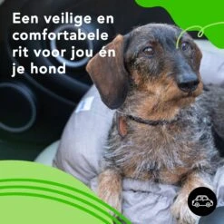 Doxie® Autostoel Hond – Hondenmand – 2 In 1 – 50 X 40 Cm – Wasbaar – Antislip – Waterbestendig – Incl. Autogordel – Maat S – Lichtgrijs -Dieren Product Winkel 1200x1200 2104