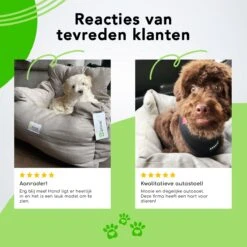 Doxie® Autostoel Hond – Hondenmand – 2 In 1 – 50 X 40 Cm – Wasbaar – Antislip – Waterbestendig – Incl. Autogordel – Maat S – Lichtgrijs -Dieren Product Winkel 1200x1200 2105