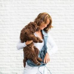 4LazyLegs Draagzak - Donker Blauw - Voor Honden Tot 7kg 22 4LazyLegs Draagzak - Donker Blauw - Voor Honden Tot 7kg -Dieren Product Winkel 1200x1200 2180