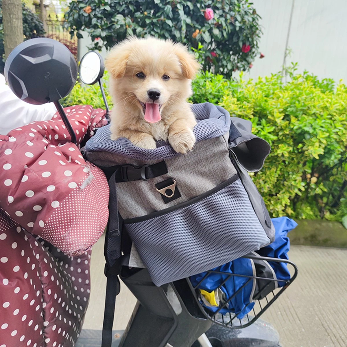 Petspace - Huisdieren Fietstas - Honden Fietsmand - Stuurtas Fiets - Fietsmand Voor Honden - Hondenfietsmand Voorop - Grijs 9 Petspace - Huisdieren Fietstas - Honden Fietsmand - Stuurtas Fiets - Fietsmand Voor Honden - Hondenfietsmand Voorop - Grijs - Afbeelding 9