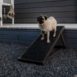 Holtaz - Hondentrap / Loopplank Voor Honden / Katten - In Hoogte Verstelbaar - (LxBxH) 104 Cm X 35,5 Cm X Hoogste Hoogte 55 Cm -Dieren Product Winkel 1200x1200 2232