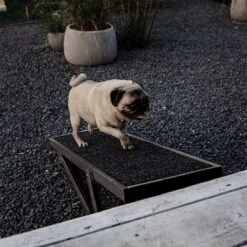 Holtaz - Hondentrap / Loopplank Voor Honden / Katten - In Hoogte Verstelbaar - (LxBxH) 104 Cm X 35,5 Cm X Hoogste Hoogte 55 Cm -Dieren Product Winkel 1200x1200 2233