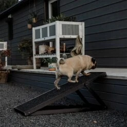 Holtaz - Hondentrap / Loopplank Voor Honden / Katten - In Hoogte Verstelbaar - (LxBxH) 104 Cm X 35,5 Cm X Hoogste Hoogte 55 Cm -Dieren Product Winkel 1200x1200 2234