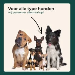 AYOO Hondentrap - Hondentrapje Voor Honden - Hondenloopplank - Trap Hond - Hondentrapje - Inklapbaar - In Hoogte Verstelbaar - Zwart - Inclusief Draagtas En Speeltouw -Dieren Product Winkel 1200x1200 2255