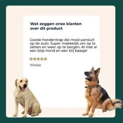 AYOO Hondentrap - Hondentrapje Voor Honden - Hondenloopplank - Trap Hond - Hondentrapje - Inklapbaar - In Hoogte Verstelbaar - Zwart - Inclusief Draagtas En Speeltouw -Dieren Product Winkel 1200x1200 2258
