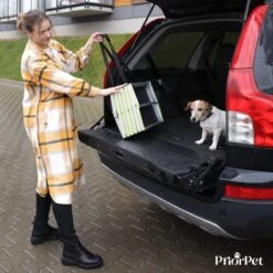 Hondentrap Auto Voor Grote En Kleine Honden PRIORPET - Oplichtende Markering - Opvouwbare Autotrap Voor Stijve Gewrichten - Hondenloopplank Geschikt Voor Alle Auto's - Antislip - 6 Treden -Dieren Product Winkel 1200x1200 2263